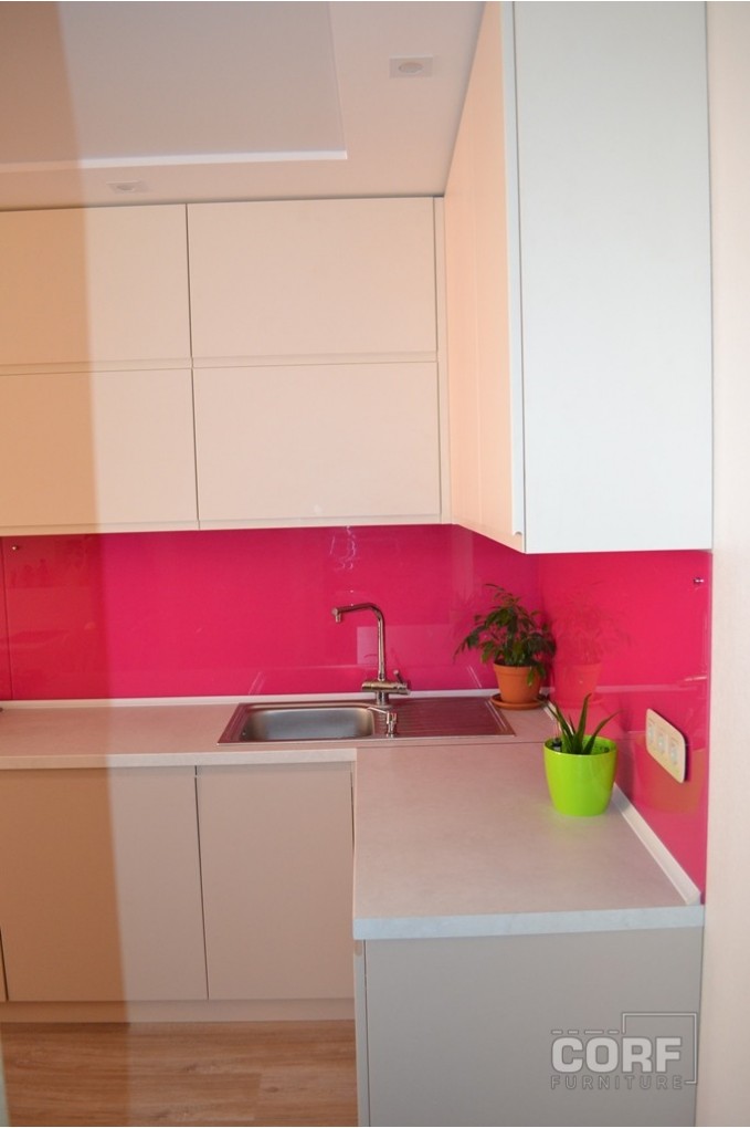 
                            Кухня с использованием активного цвета на заказ